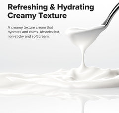 Beauty Of Joseon Dynasty Cream - 50ml