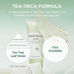 Skin1004 Madagascar Centella Tea-Trica BHA Foam - 125ml