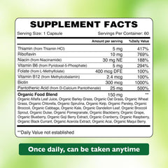 Organic Earth B- Complex - 60 Capsules