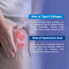 Organic Earth Joint Collagen Type II with Hyaluronic Acid - 120 Capsules